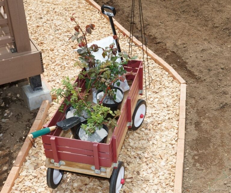 Los Mejores Productos para Embellecer y Optimizar tu Jardín